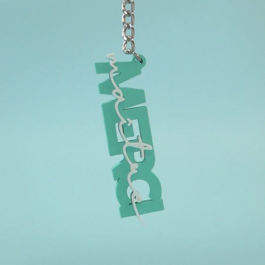 Porte-clé Merci maître bleu vert